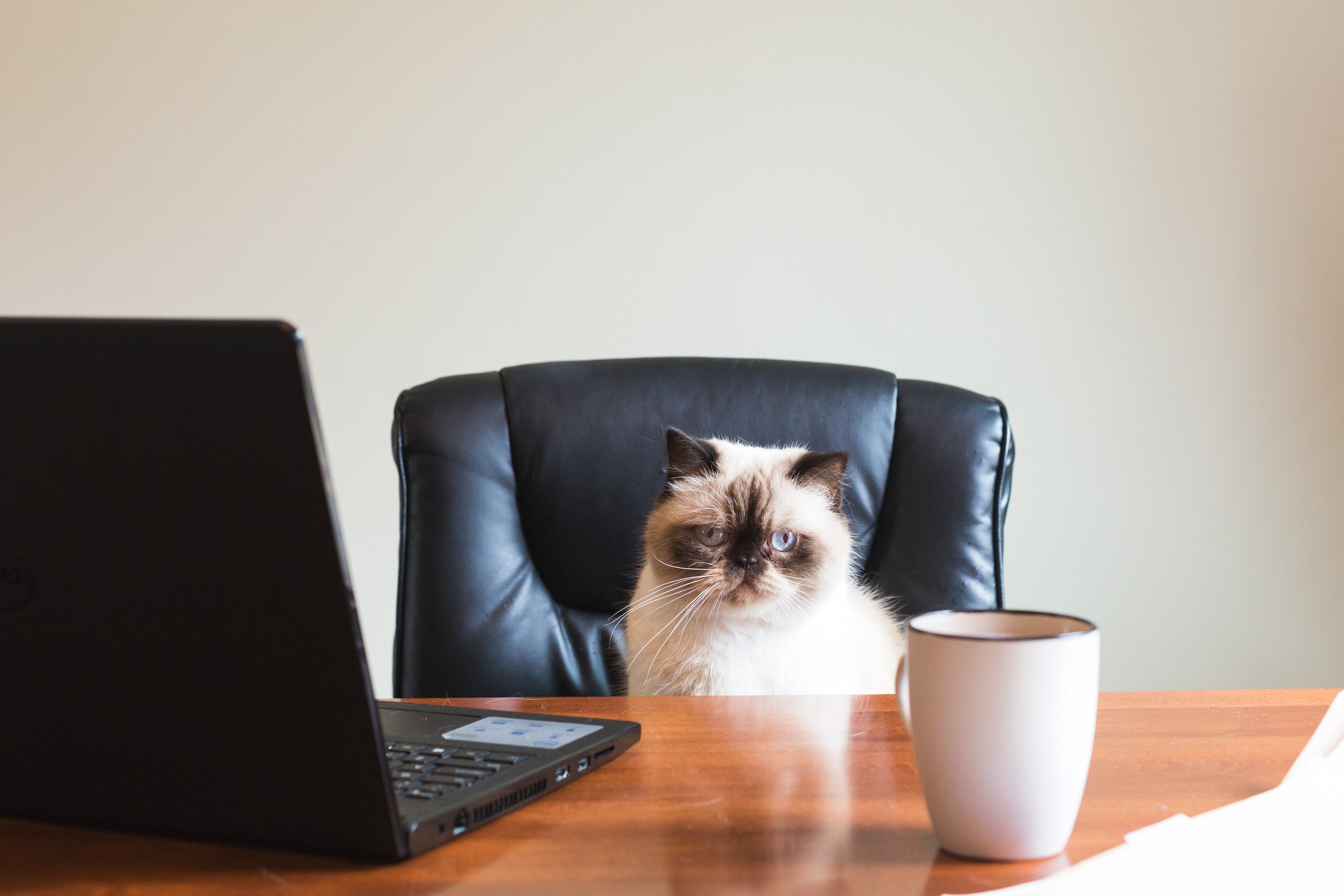 5 Things Teachers Do That Aren’t in the Contract